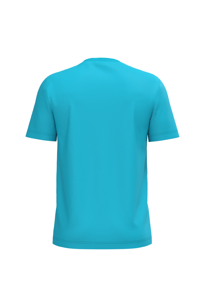 Sea Turquoise