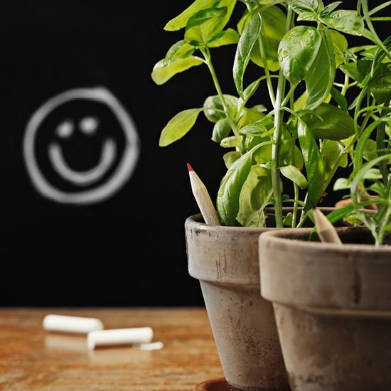SPROUT - Farbstift mit kleinem Ansteckkärtchen