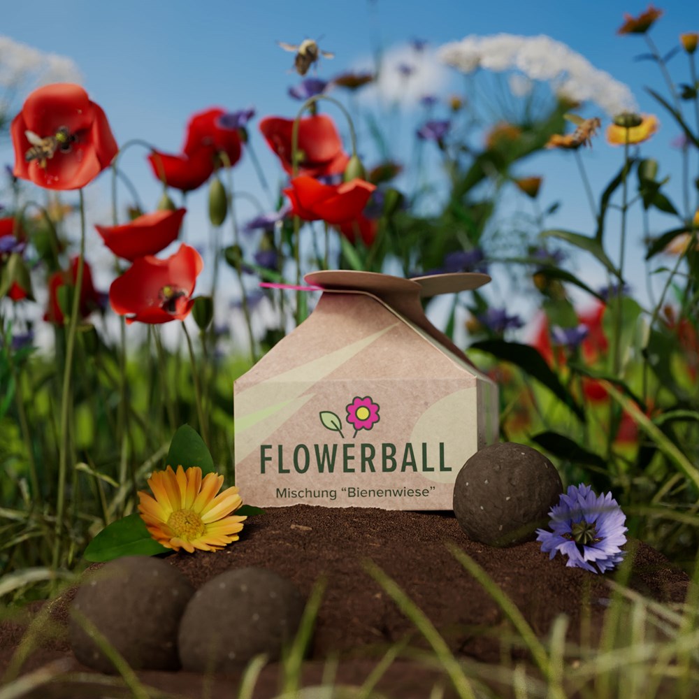 2-er BIO Seedbomb Set - Flower-Ball "Bienenwiese" - torffreibraun